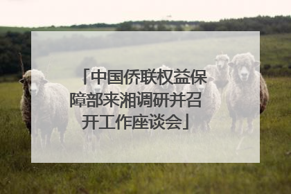 中国侨联权益保障部来湘调研并召开工作座谈会