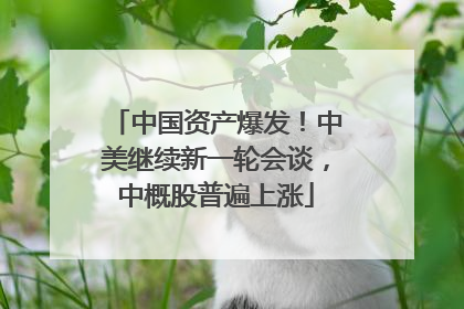 中国资产爆发！中美继续新一轮会谈，中概股普遍上涨