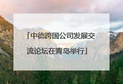 中德跨国公司发展交流论坛在青岛举行