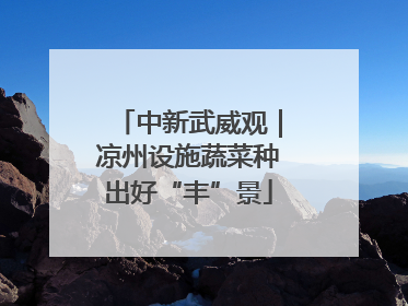 中新武威观｜凉州设施蔬菜种出好“丰”景