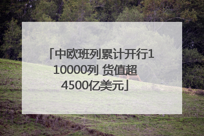 中欧班列累计开行110000列 货值超4500亿美元