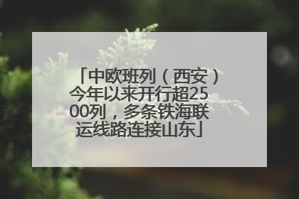 中欧班列（西安）今年以来开行超2500列，多条铁海联运线路连接山东