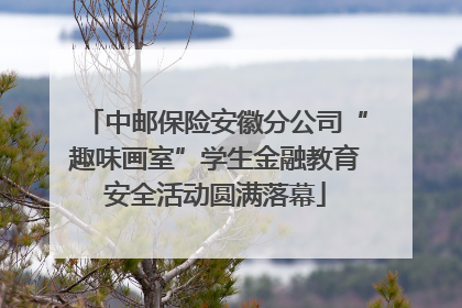 中邮保险安徽分公司“趣味画室”学生金融教育安全活动圆满落幕