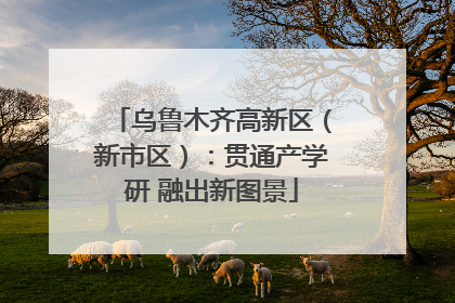 乌鲁木齐高新区（新市区）：贯通产学研 融出新图景