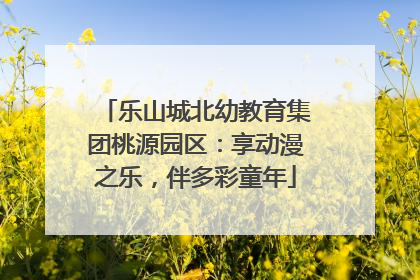 乐山城北幼教育集团桃源园区：享动漫之乐，伴多彩童年