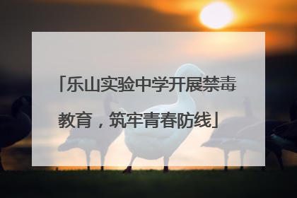 乐山实验中学开展禁毒教育，筑牢青春防线