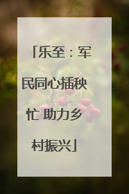 乐至：军民同心插秧忙 助力乡村振兴