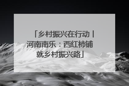 乡村振兴在行动丨河南南乐：西红柿铺就乡村振兴路