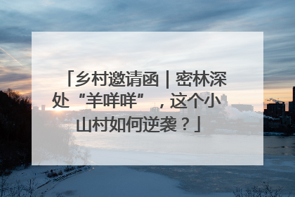 乡村邀请函｜密林深处“羊咩咩”，这个小山村如何逆袭？