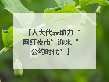 人大代表助力“网红夜市”迎来“公约时代”