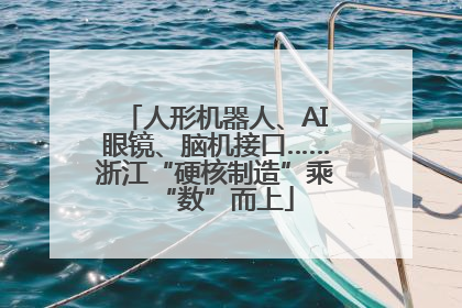 人形机器人、AI眼镜、脑机接口……浙江“硬核制造”乘“数”而上