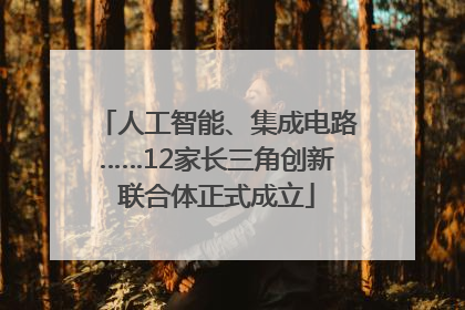 人工智能、集成电路……12家长三角创新联合体正式成立