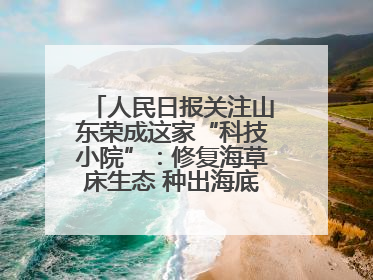 人民日报关注山东荣成这家“科技小院”：修复海草床生态 种出海底“森林”