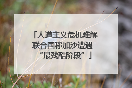 人道主义危机难解 联合国称加沙遭遇“最残酷阶段”