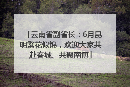 云南省副省长：6月昆明繁花似锦，欢迎大家共赴春城、共聚南博