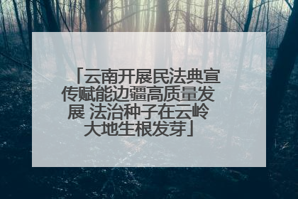 云南开展民法典宣传赋能边疆高质量发展 法治种子在云岭大地生根发芽