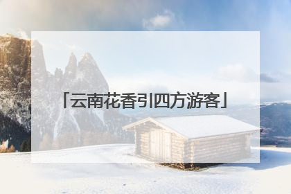 云南花香引四方游客