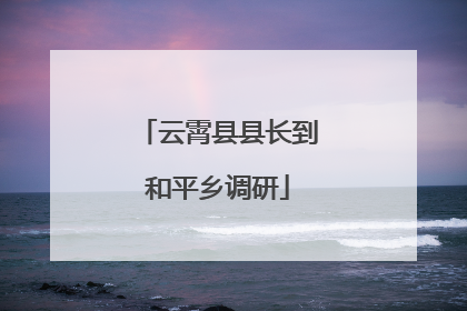 云霄县县长到和平乡调研