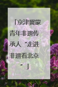 京津冀蒙青年非遗传承人“走进非遗看北京”