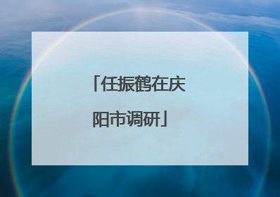 任振鹤在庆阳市调研