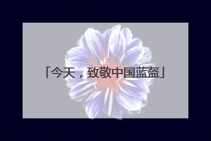 今天，致敬中国蓝盔