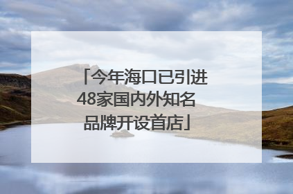 今年海口已引进48家国内外知名品牌开设首店