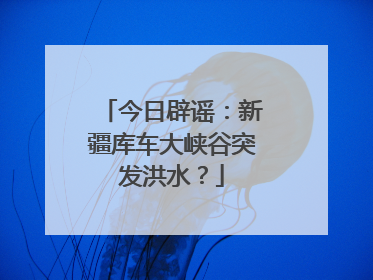 今日辟谣：新疆库车大峡谷突发洪水？