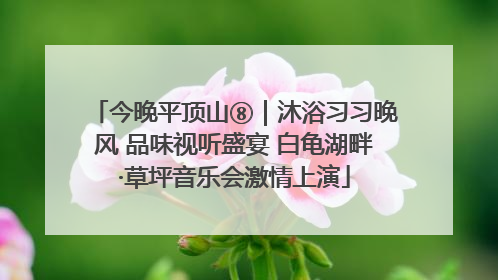 今晚平顶山⑧｜沐浴习习晚风 品味视听盛宴 白龟湖畔·草坪音乐会激情上演