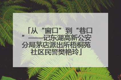 从“窗口”到“巷口”——记东湖高新公安分局茅店派出所梧桐苑社区民警樊艳玲