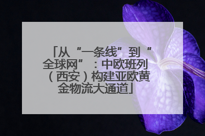 从“一条线”到“全球网”：中欧班列（西安）构建亚欧黄金物流大通道