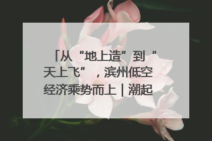 从“地上造”到“天上飞”，滨州低空经济乘势而上｜潮起渤海・网聚黄蓝