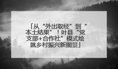 从“外出取经”到“本土结果”！叶县“党支部+合作社”模式绘就乡村振兴新图景