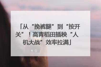 从“挽裤腿”到“按开关”！高青稻田插秧“人机大战”效率拉满
