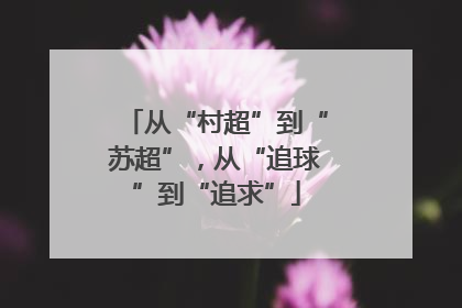 从“村超”到“苏超”，从“追球”到“追求”