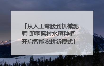 从人工弯腰到机械驰骋 即墨蓝村水稻种植开启智能农耕新模式