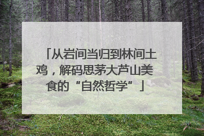 从岩间当归到林间土鸡，解码思茅大芦山美食的“自然哲学”