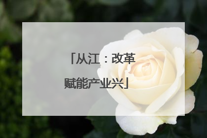 从江：改革赋能产业兴