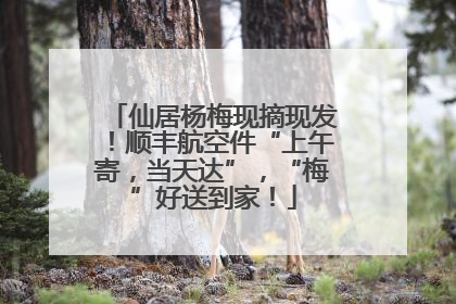 仙居杨梅现摘现发！顺丰航空件“上午寄，当天达”，“梅”好送到家！