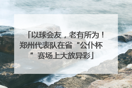 以球会友，老有所为！郑州代表队在省“公仆杯”赛场上大放异彩