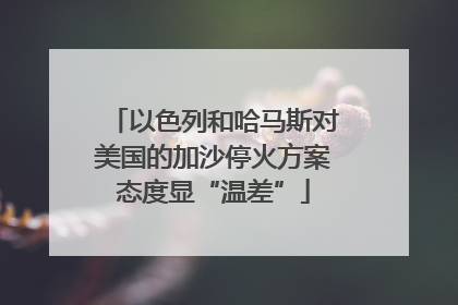 以色列和哈马斯对美国的加沙停火方案态度显“温差”