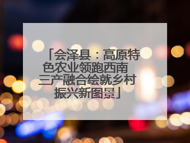 会泽县：高原特色农业领跑西南 三产融合绘就乡村振兴新图景