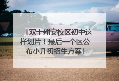 双十翔安校区初中这样划片！最后一个区公布小升初招生方案