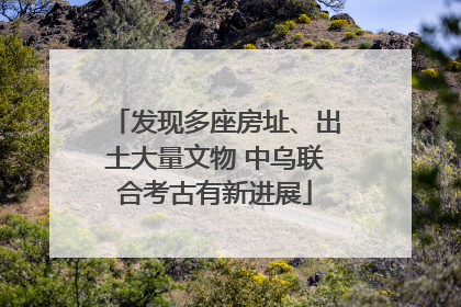 发现多座房址、出土大量文物 中乌联合考古有新进展