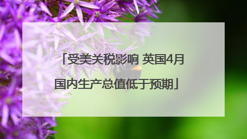 受美关税影响 英国4月国内生产总值低于预期