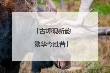 古埠现新韵 繁华今胜昔