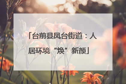 台前县凤台街道：人居环境“焕”新颜