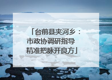 台前县夹河乡：市政协调研指导 精准把脉开良方
