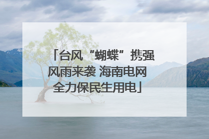 台风“蝴蝶”携强风雨来袭 海南电网全力保民生用电