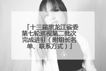 十三届黑龙江省委第七轮巡视第二批次完成进驻（附组长名单、联系方式）