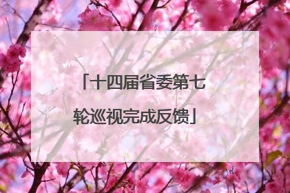 十四届省委第七轮巡视完成反馈